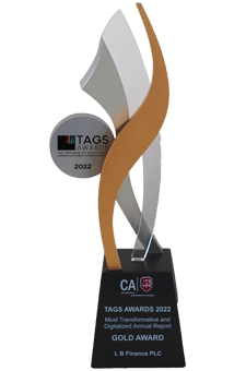 Most Transformative and Digital Report – Gold Award